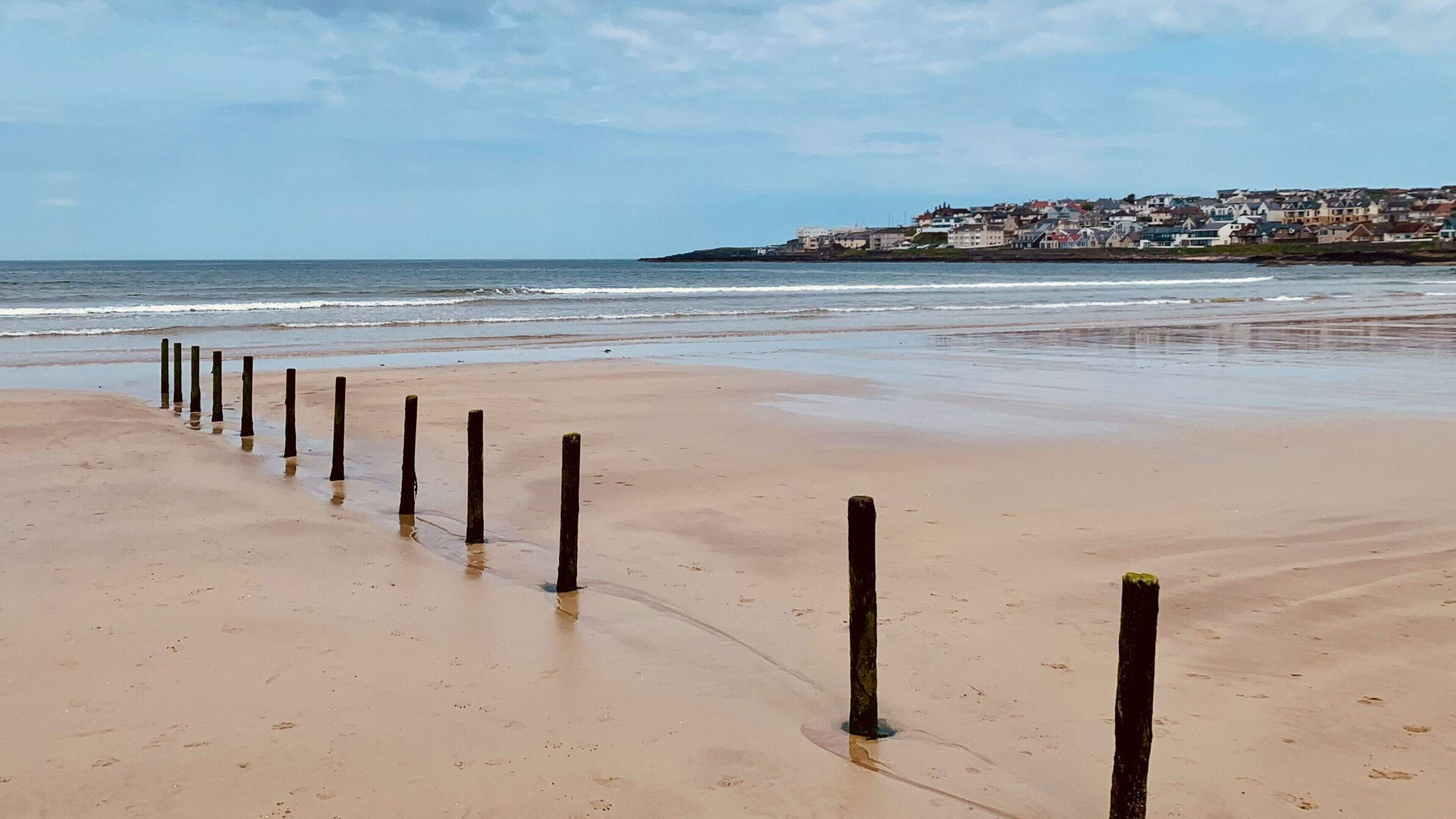Call about men with knife on beach was barbecue preparation, say police